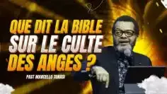 [ID: kToEftEAGL4] Youtube Automatic